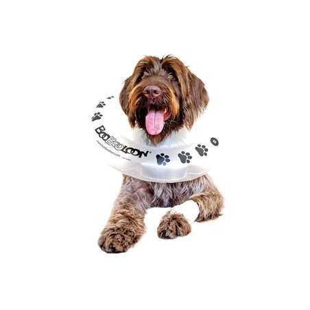 collier-boobooloon-accessoire-pour-chien.jpg