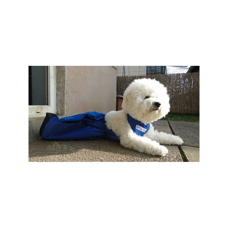 housse anti frottement chien chat paralysé train arrière gigotteuse