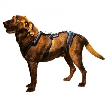 Harnais de portage résistant et ajustable pour tout le corps du chien help em up par mikan