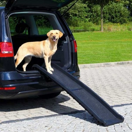 Accessoires de voiture pour chien  Rampe pour chien, Escaliers pour chien,  Chien