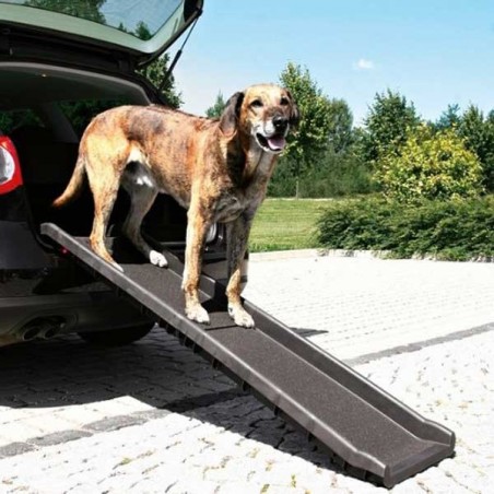 Rampe pliable pour chien Surface antidérapante Embarquement Auto