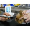 K-Laser® thérapie vétérinaire sur les chats chiens nac chevaux