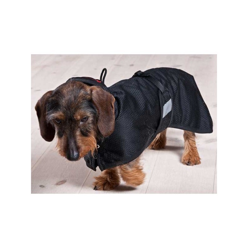 accessoire-pour-chien-manteau-dinterieur-back-on-track.jpg