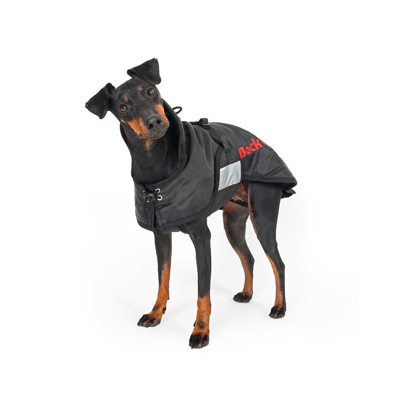 accessoire-pour-chien-manteau-dexterieur-impermeable-back-on-track.jpg