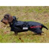accessoire-pour-chien-manteau-dexterieur-impermeable-back-on-track.jpg