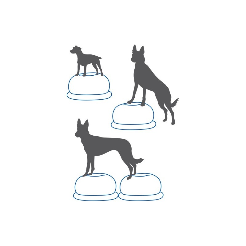 Ballon donut Fitpaws