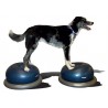 Support FITPAWS Support FITPAWS