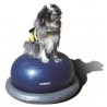 Support FITPAWS Support FITPAWS