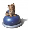 Support FITPAWS Support FITPAWS