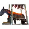 Solarium infrarouge MIKAN pour chevaux