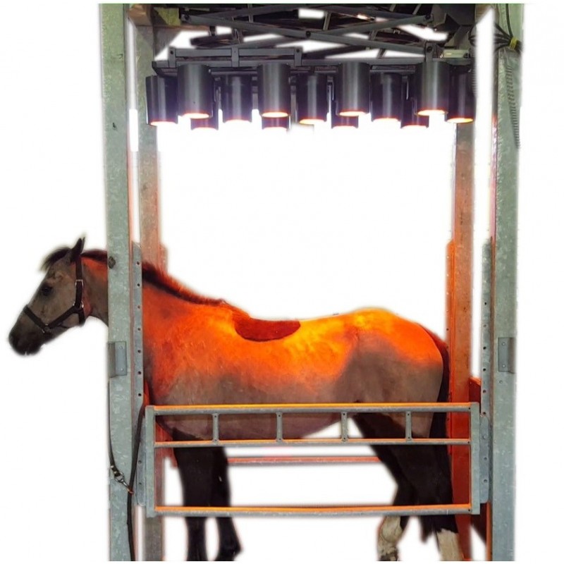 Solarium infrarouge MIKAN pour chevaux