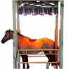 Solarium infrarouge MIKAN pour chevaux