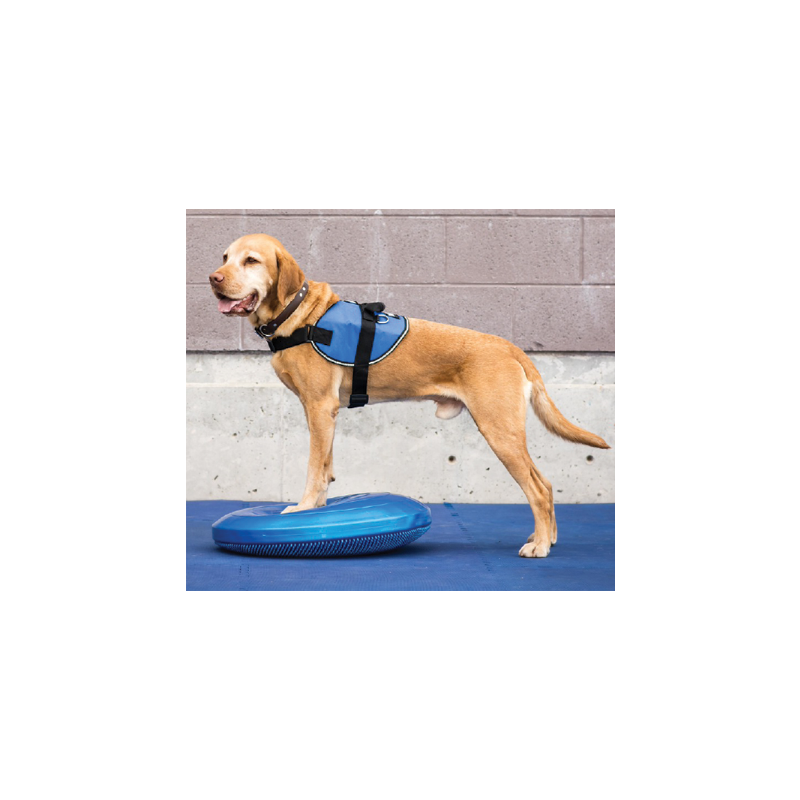 Disque d'équilibre FitPAWS Disque d'équilibre FitPAWS