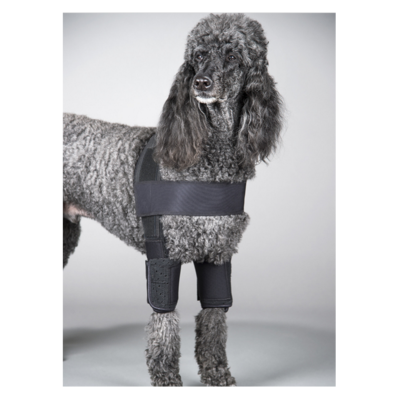 Attelle du coude DOGLEGGS