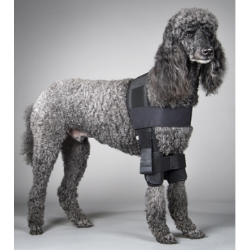 Attelle d'épaule Dogleggs