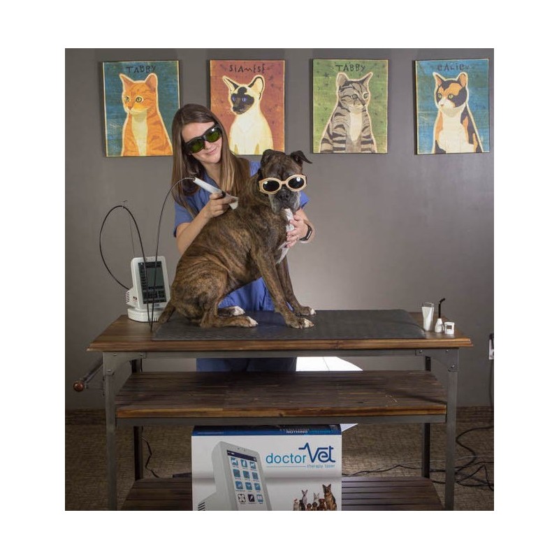 Laser DoctorVet