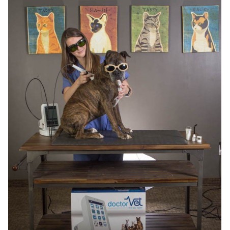 Laser DoctorVet