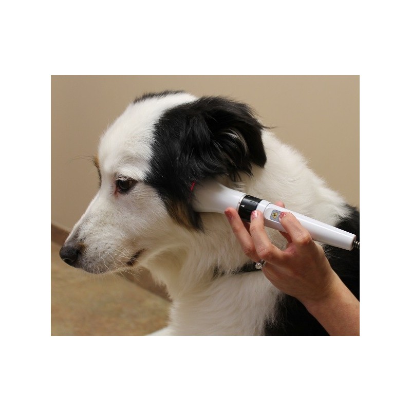 Laser DoctorVet