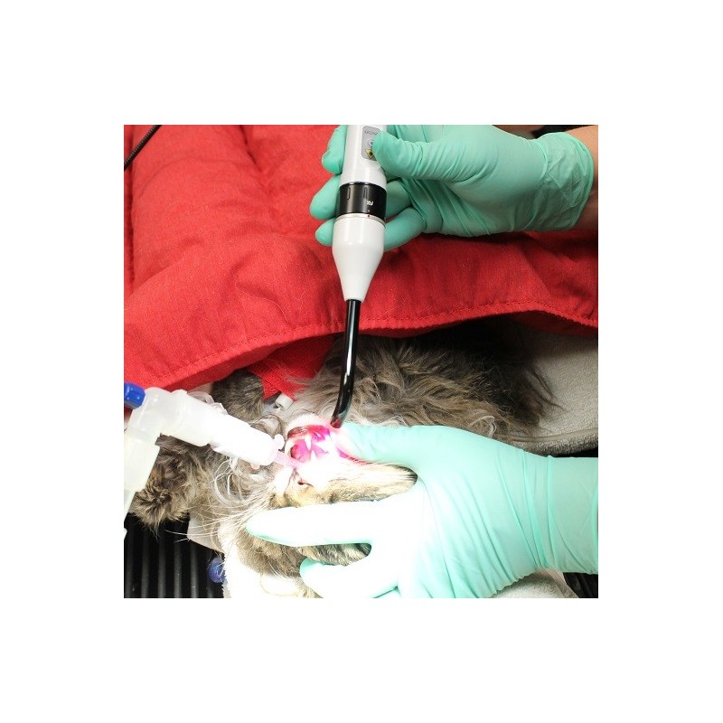 Embout de précision DoctorVet