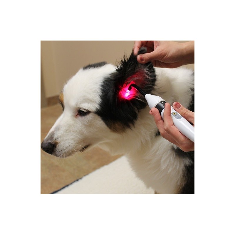 Embout de précision DoctorVet