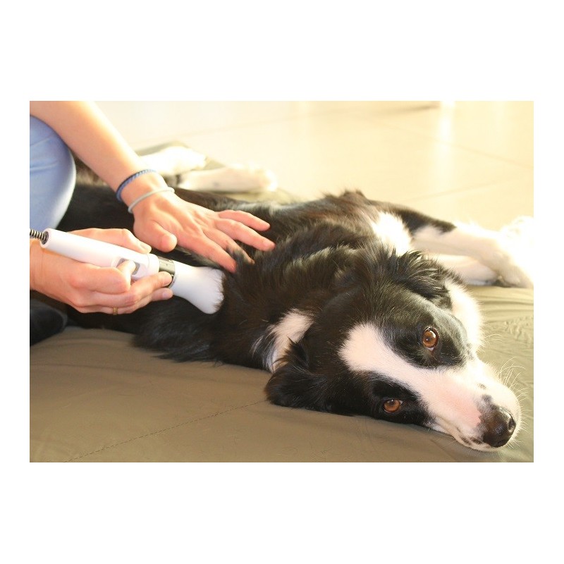 Embout de massage DoctorVet Embout de massage DoctorVet