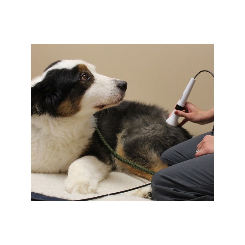 Embout de massage DoctorVet Embout de massage DoctorVet