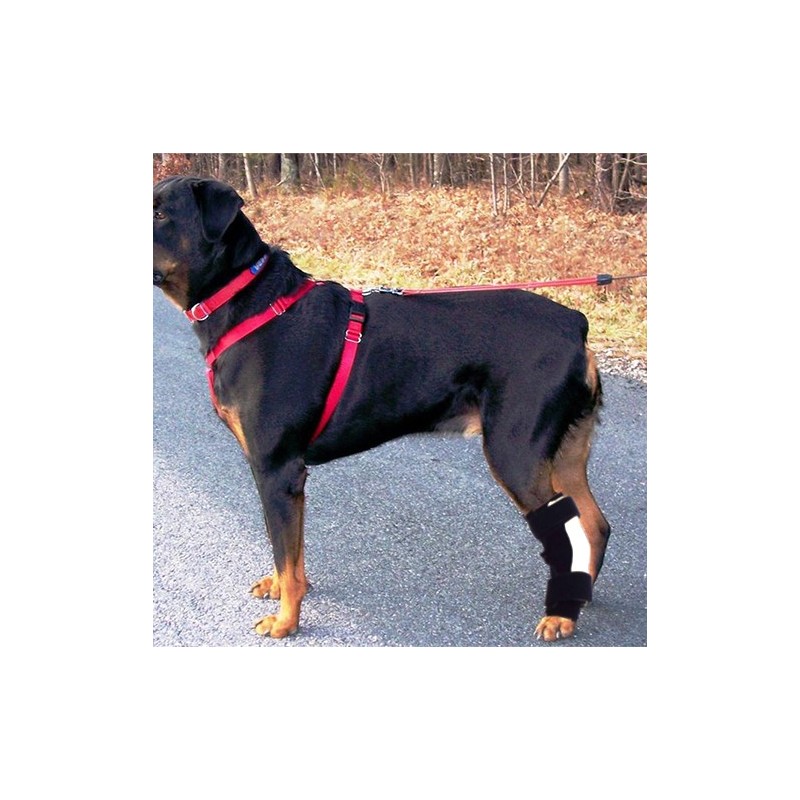 Kit immobilisant pour attelle patte chien chat plaque thermoformable