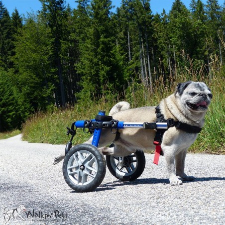 chariot-roulant-pour-chien-handicape-walkin-wheels.jpg