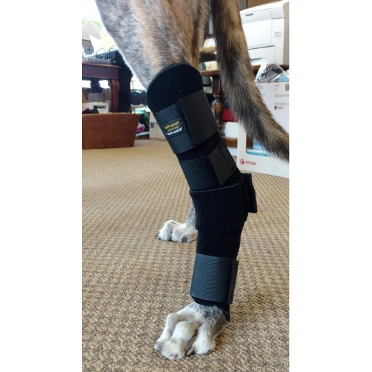 Attelle de maintien pour chien destiné à la patte arrière Mikan