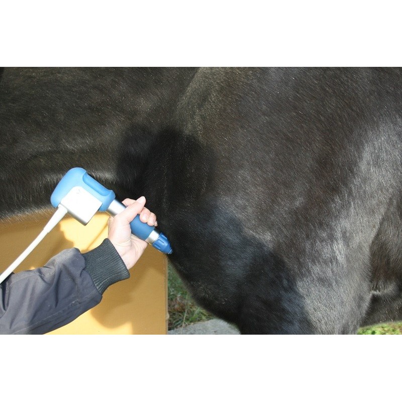 Onde de choc mobile RPW