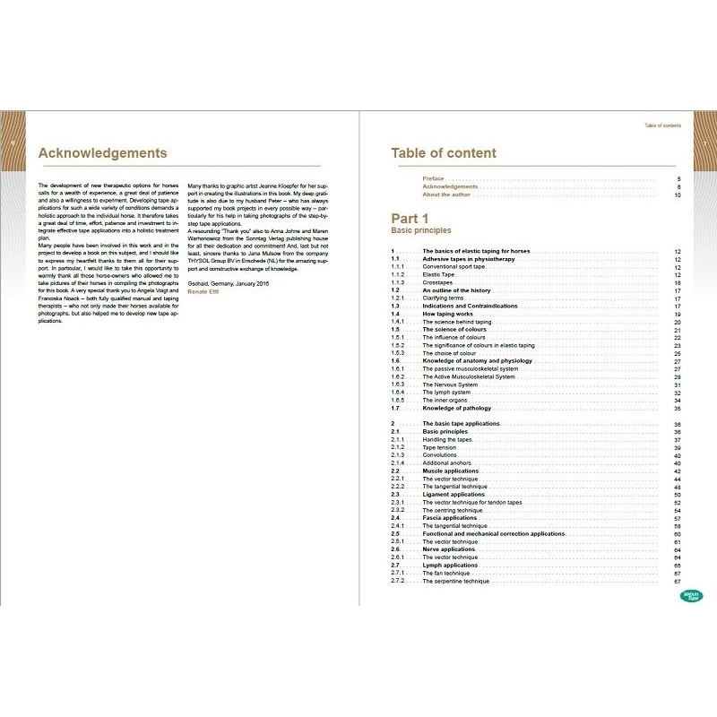 Guide taping kinesiologie equine Guide taping kinesiologie equine