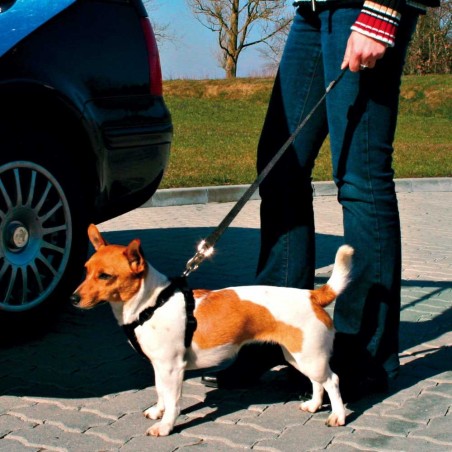 Laisse de sécurité voiture pour chiens et chats