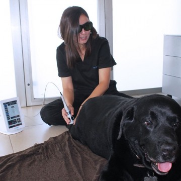 Lunettes de protection laser DoctorVet