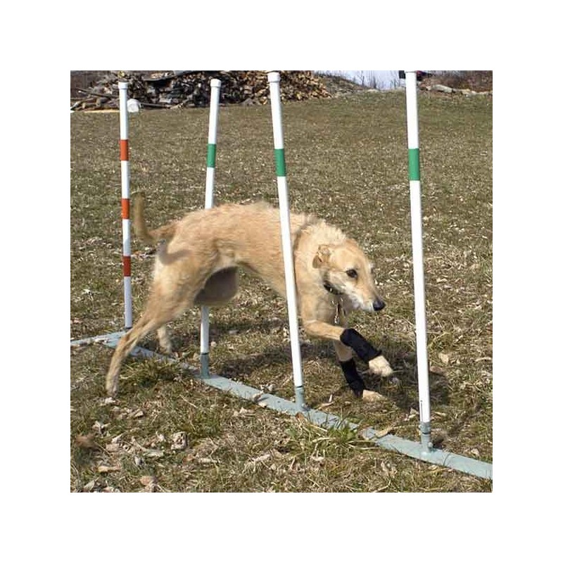 Carpoflex X : attelle de maintien pour chien – patte avant