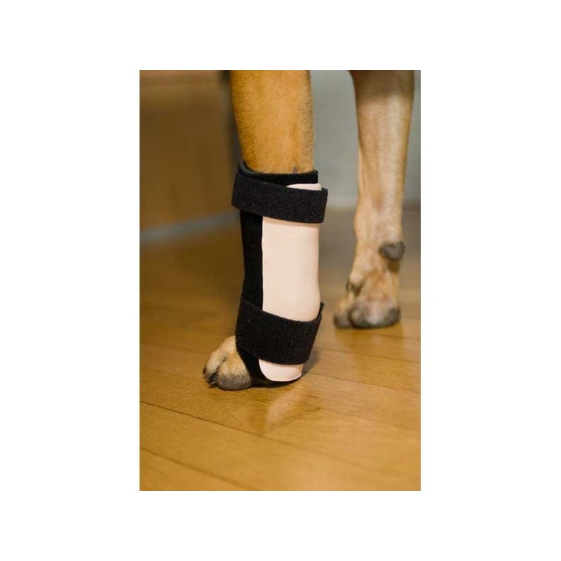 Carposplint kit : attelle pour chien immobilisante – patte avant