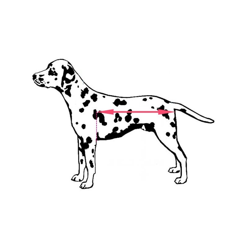 Barres extension longueur chariot roulant chat chien Walkin Wheels