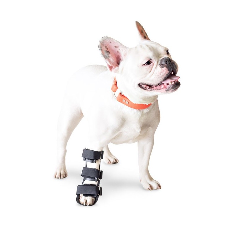 Attelle rigide walkin wheels – patte avant chien et chat