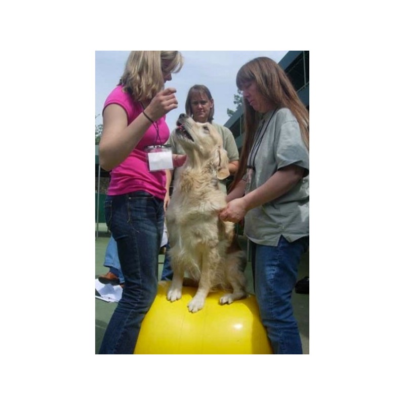 ballon-cacahuete.jpg ballon-cacahuete.jpg