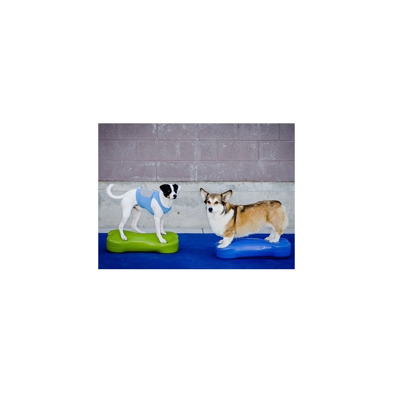 Coussin d'équilibre K9FITbone Coussin d'équilibre K9FITbone