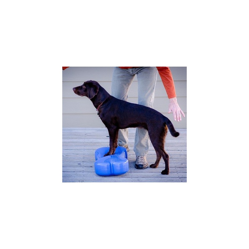 Coussin d'équilibre K9FITbone Coussin d'équilibre K9FITbone