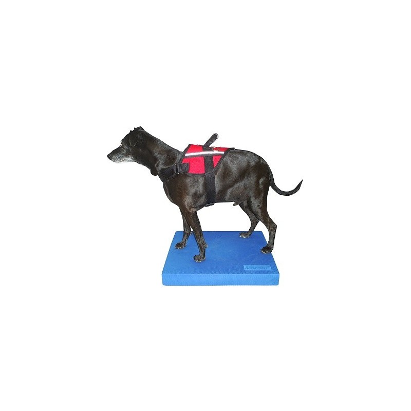 Balance Pad pour rééducation animale Balance Pad pour rééducation animale