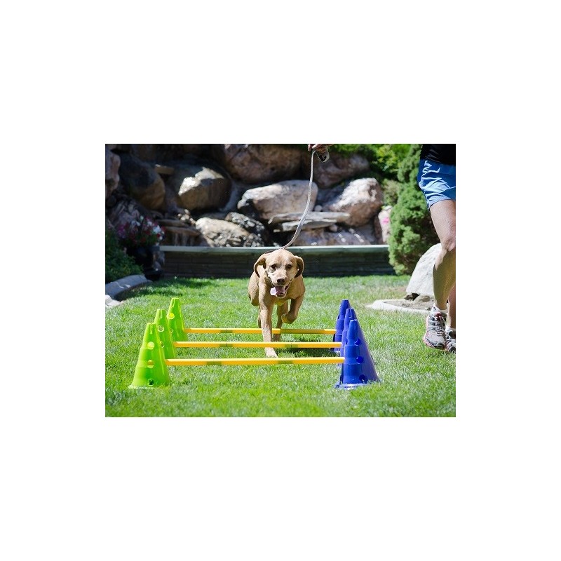 Kit cavaletti FITPAWS