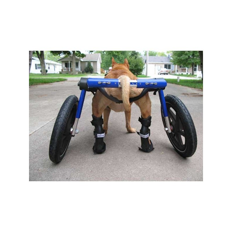 Attelle rigide walkin wheels – patte arriere chien et chat