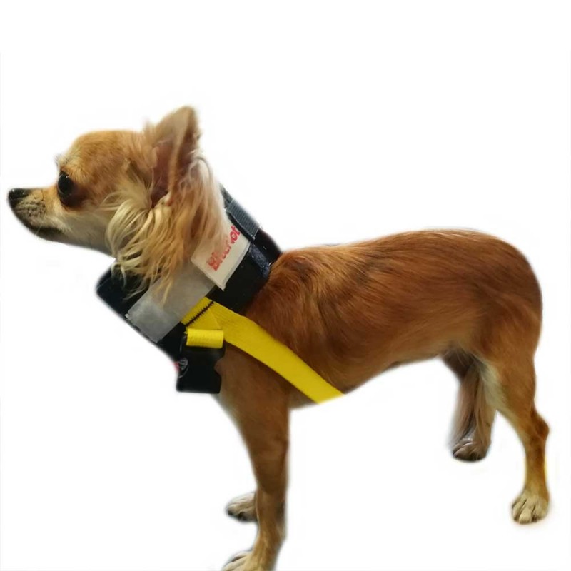 Collier collerette chien et chat alternative Bitenot Mikan Collier collerette chien et chat alternative Bitenot Mikan