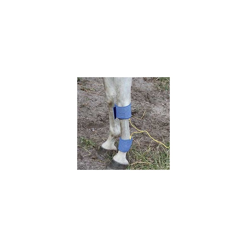 Stim Vet 2000 spécial muscles dénervés