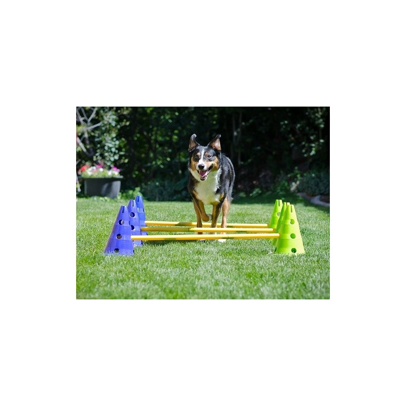 Kit cavaletti FITPAWS Kit cavaletti FITPAWS