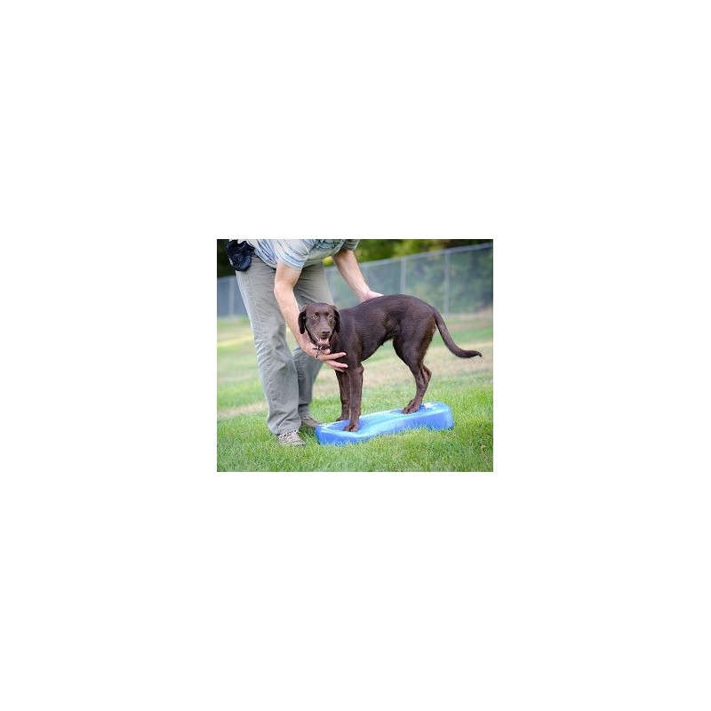Coussin d'équilibre K9FITbone Coussin d'équilibre K9FITbone