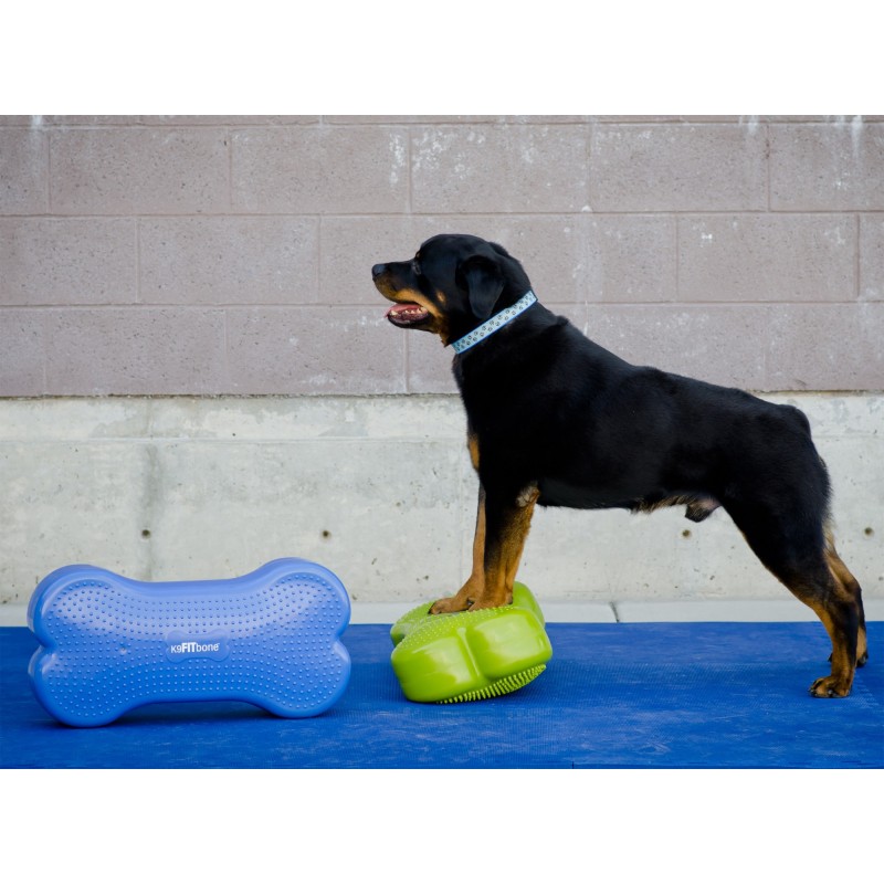 Coussin d'équilibre K9FITbone Coussin d'équilibre K9FITbone