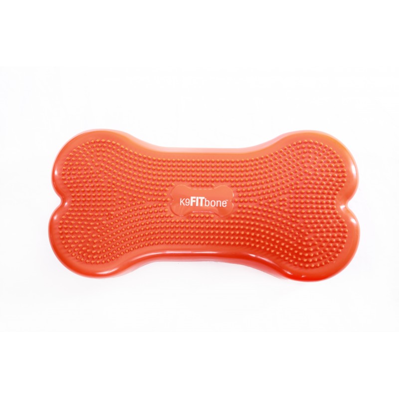 Coussin d'équilibre K9FITbone Coussin d'équilibre K9FITbone