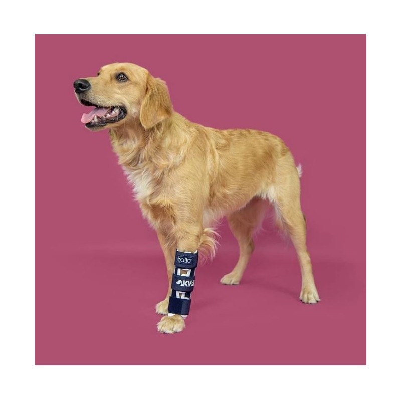 Attelle immobilisante du radius chiens et chats Balto Mikan